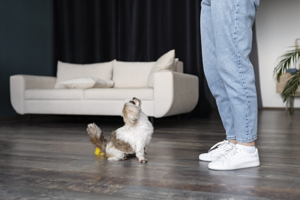 best flooring for dogs
